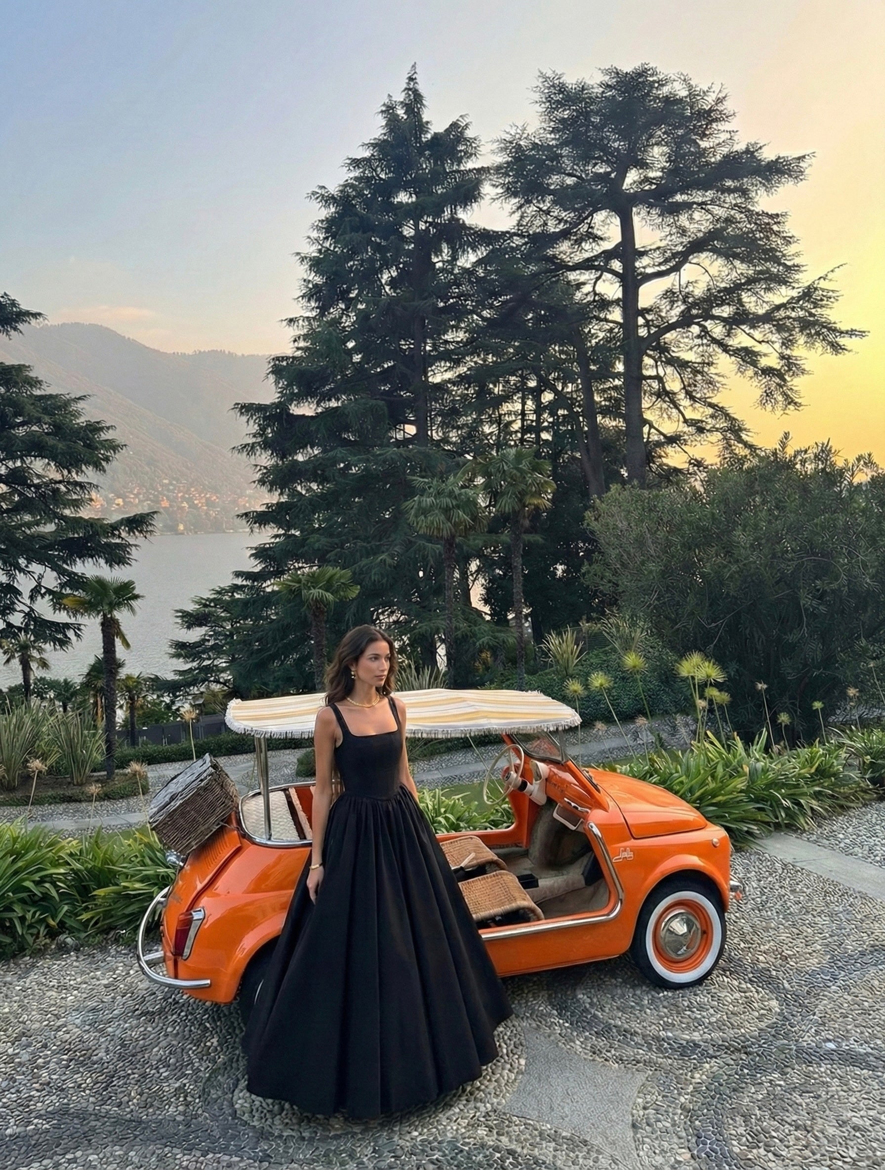 SWAN DRESS